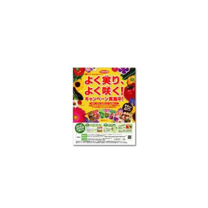 “MISAKI”CAMPAIGN