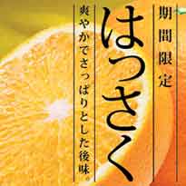 国産みかんゼリー