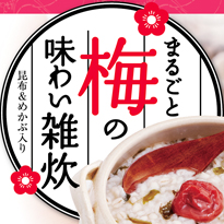 まるごと梅のあじわい雑炊