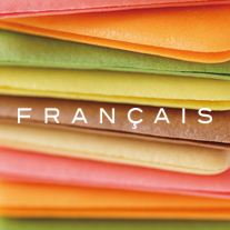 FRANÇAIS 2015SS