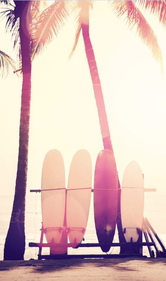 浅川 暢彦 Masahiko Asakawa Creator 株式会社ヘルメス 浅川 暢彦 Masahiko Asakawa Creator 株式会社ヘルメス