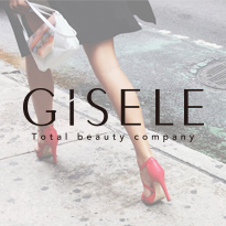GiSELE  webサイト