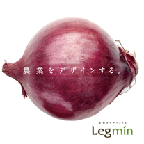 レグミン 会社案内