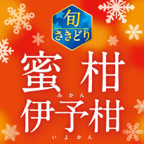 旬さきどり 蜜柑・伊予柑