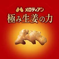 極み生姜の力