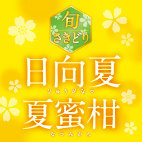 旬さきどり 日向夏 夏蜜柑