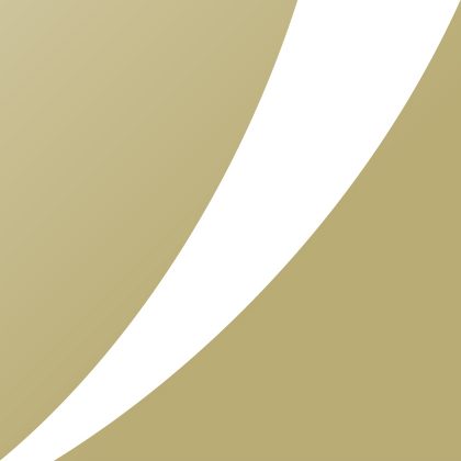 BLOWIN Corporate logo profile
