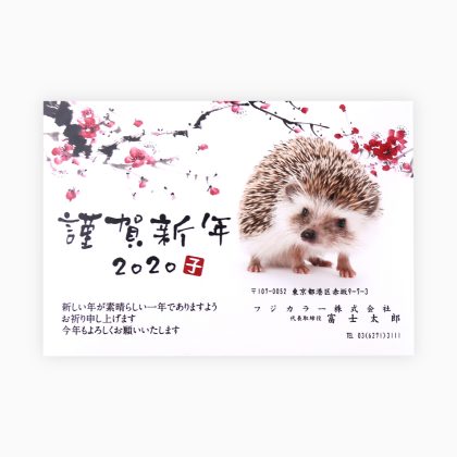 フジフイルムの年賀状印刷2020