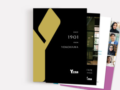 YSG Holdings Company Profile